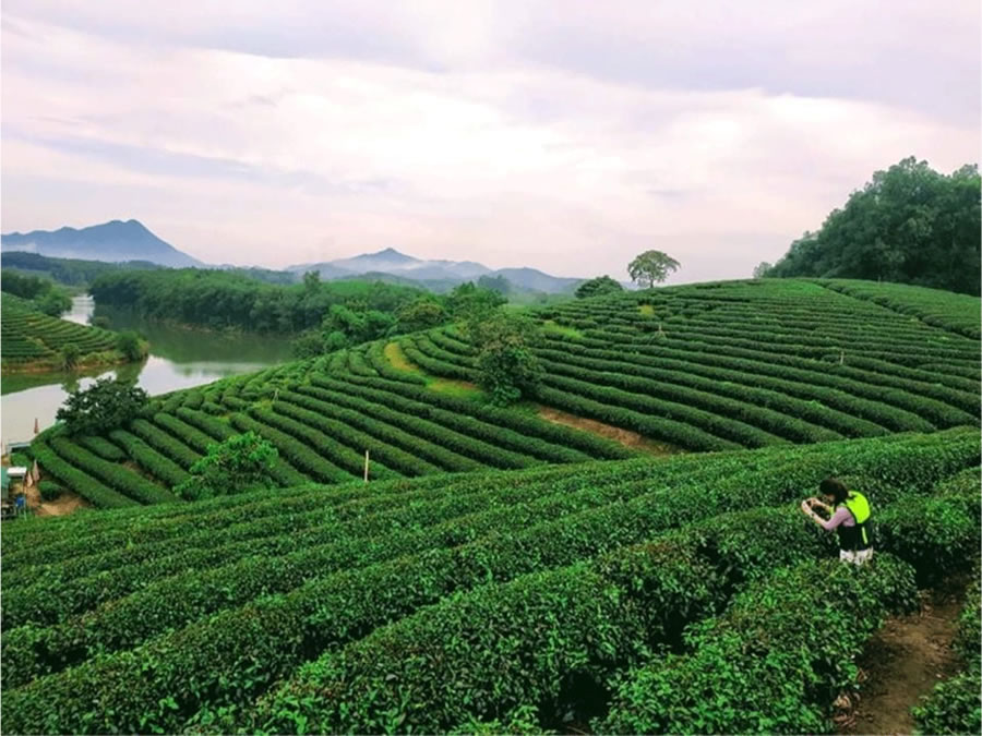 Farmstay Gió Lào Eco lodge - Đảo Chè Thanh Chương