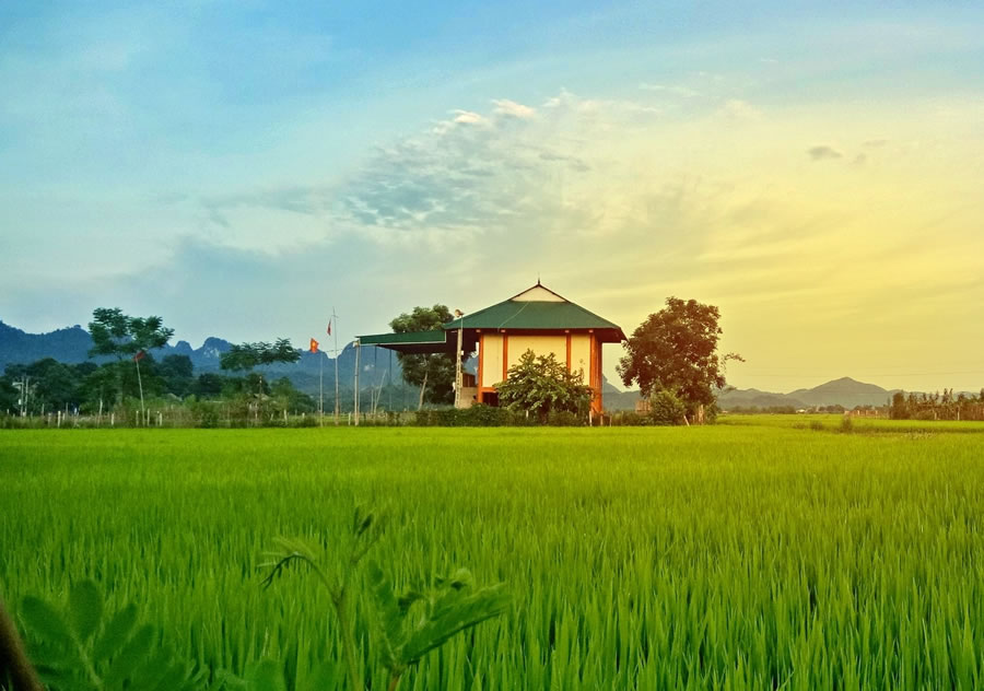 Hồng Long Homestay - Homestay Con Cuông Nghệ An