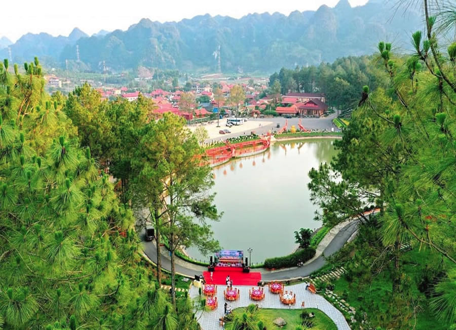 Rừng thông bản Áng